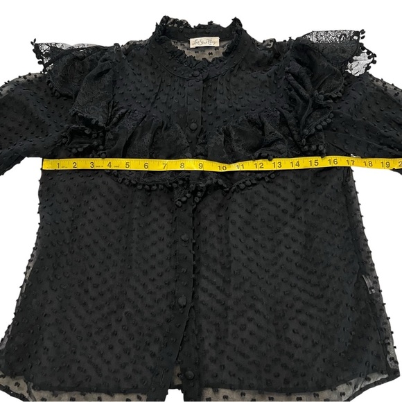 LoveShackFancy Erica SWISS DOT HIGH NECK LACE BLOUSE Ruffled Button Front Sheer - Picture 4 of 16